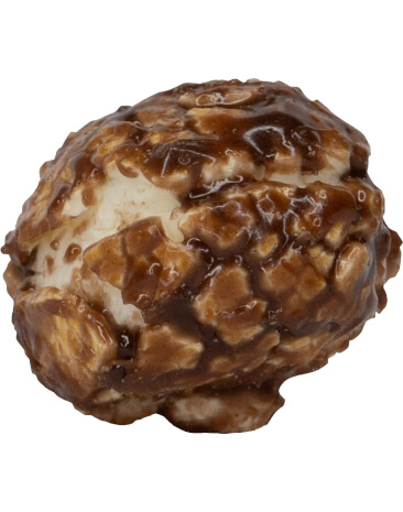 Dark Chocolate Popcorn Kernel