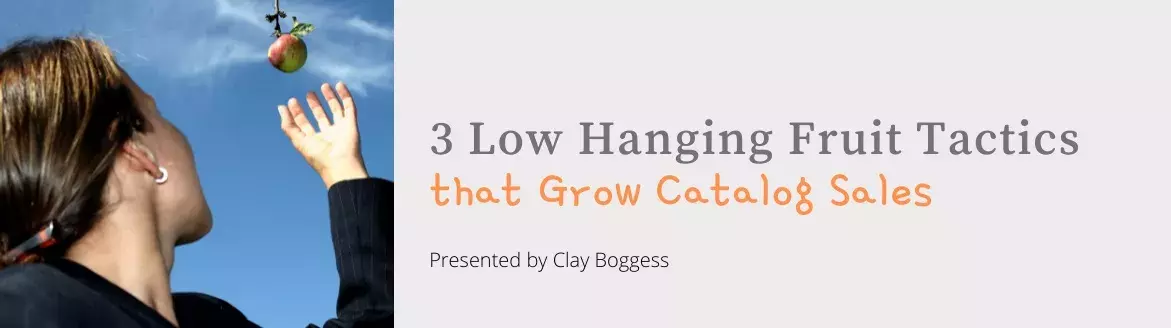 3 Low Hanging Fruit Tactics that Grow Catalog Sales