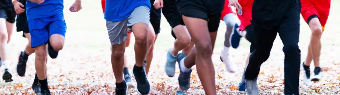 How to Track Your Fundraising Progress