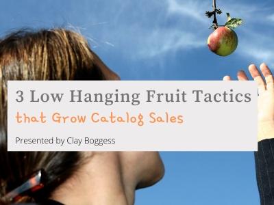 3 Low Hanging Fruit Tactics that Grow Catalog Sales