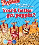 Popcornopolis Brochure Fundraiser