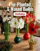 Holiday Flowers Catalog Fundraiser
